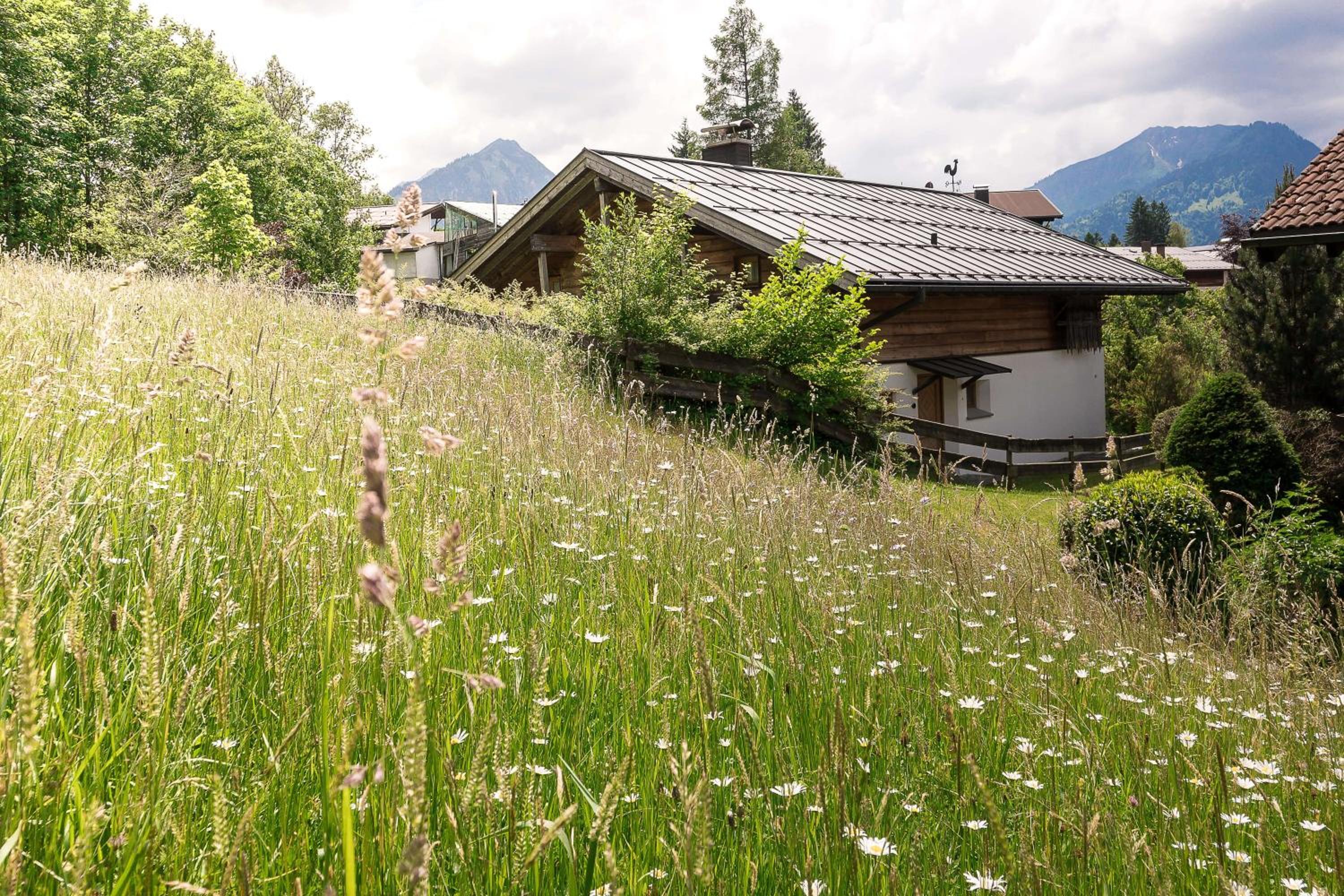 Alpenhaus Oberstdorf - Bergbahn unlimited im Sommer inklusive