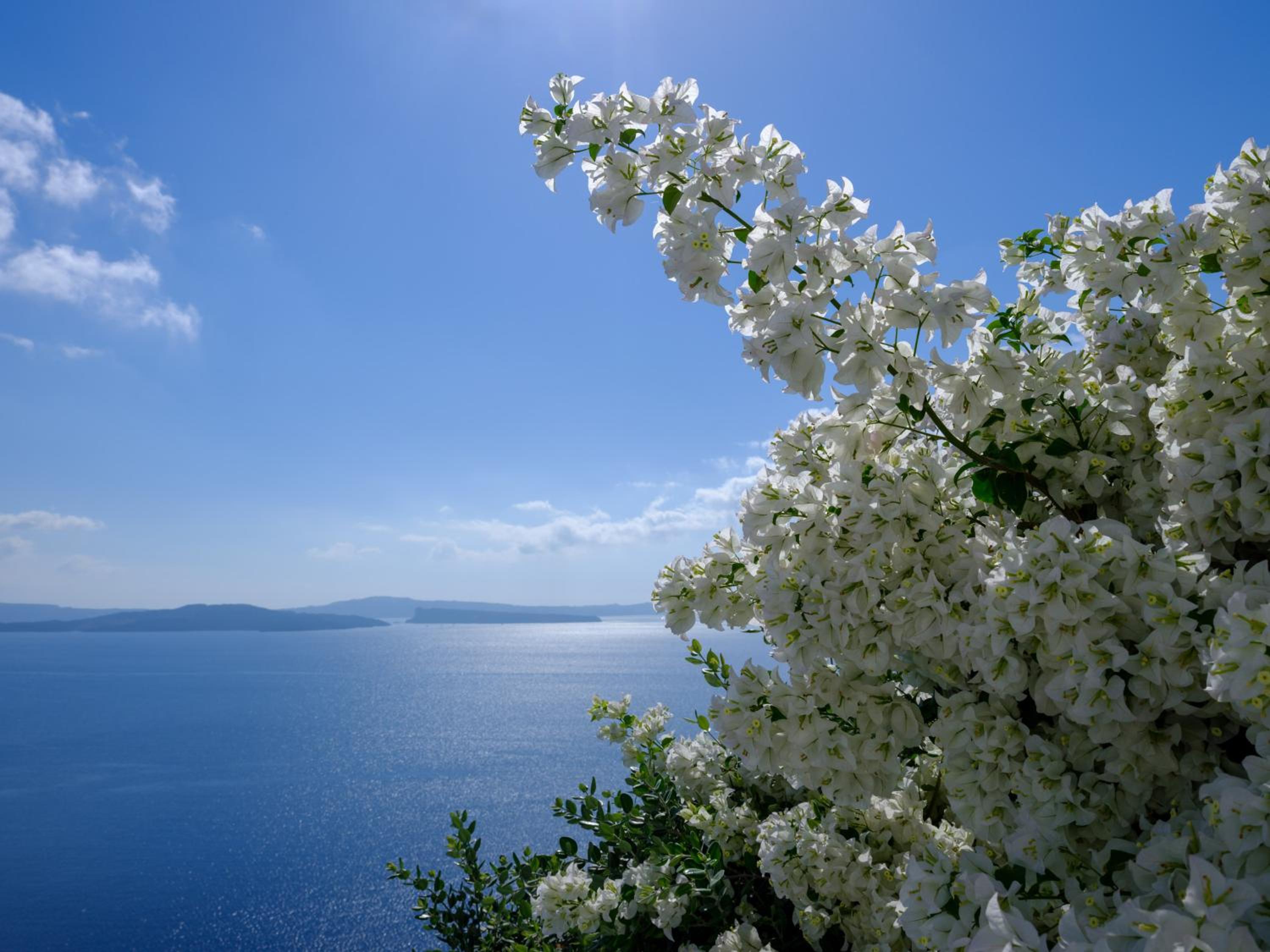 Oia Vacations - Thirea Suites - Property Image 55