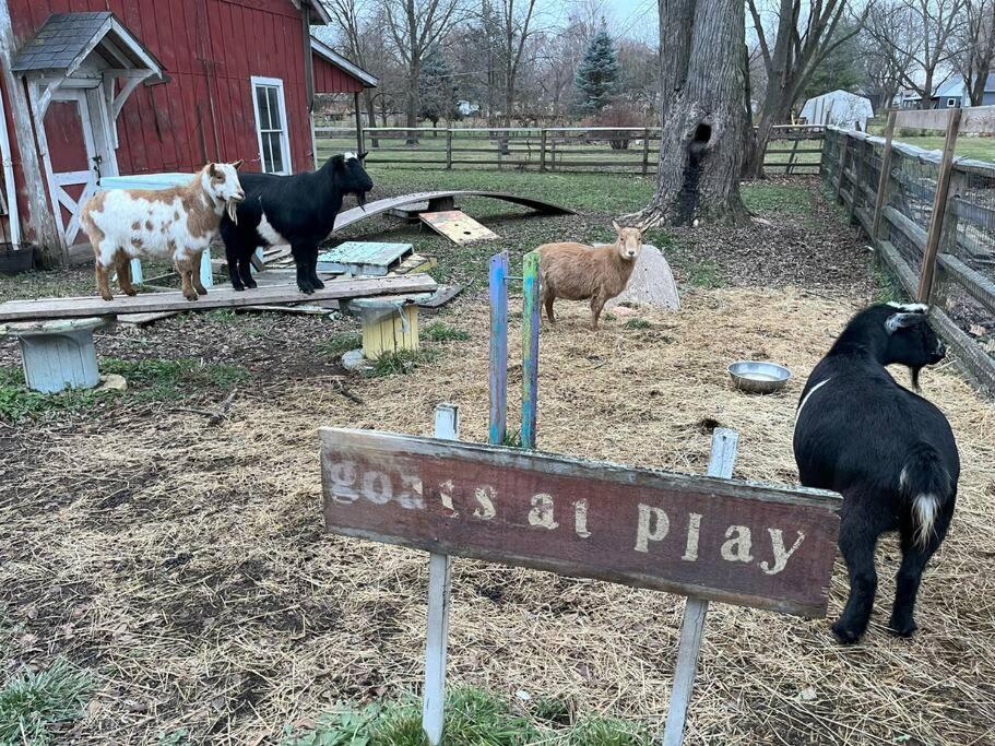 The Goat Farm