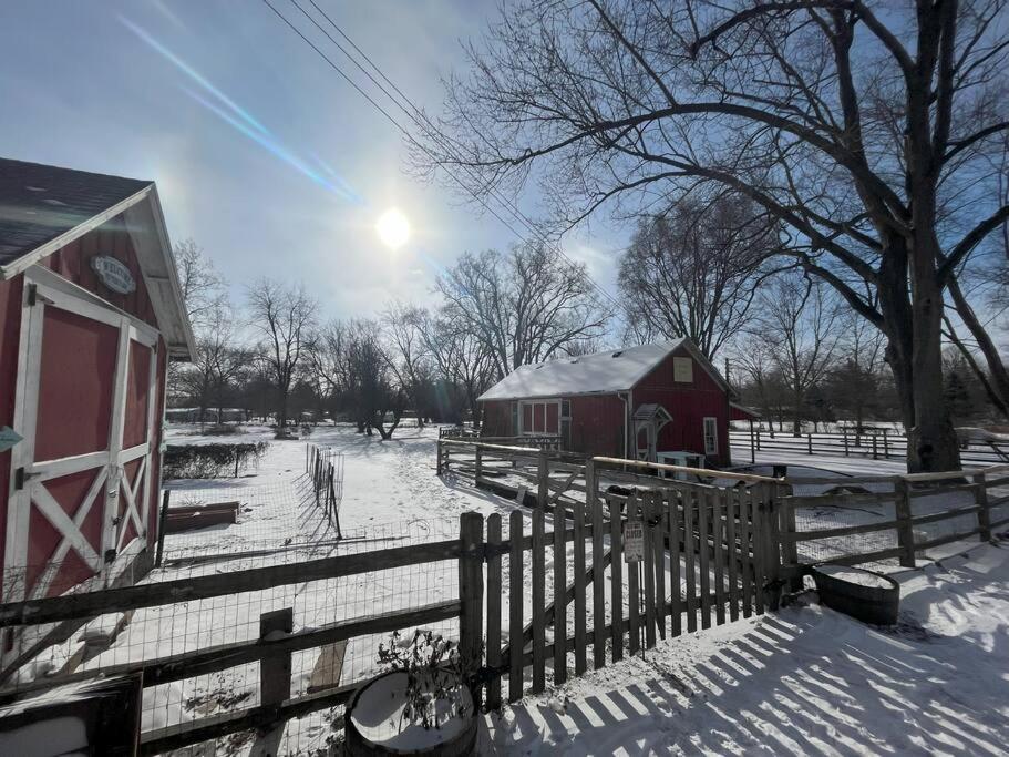 The Goat Farm