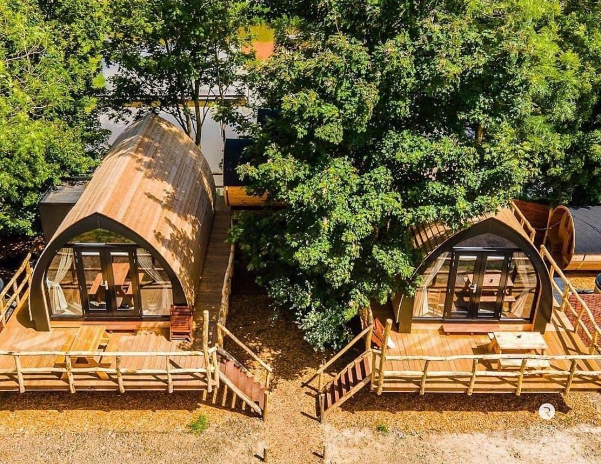 Boomhuis met wellness - Vakantiepark de Schreiershoek view 2