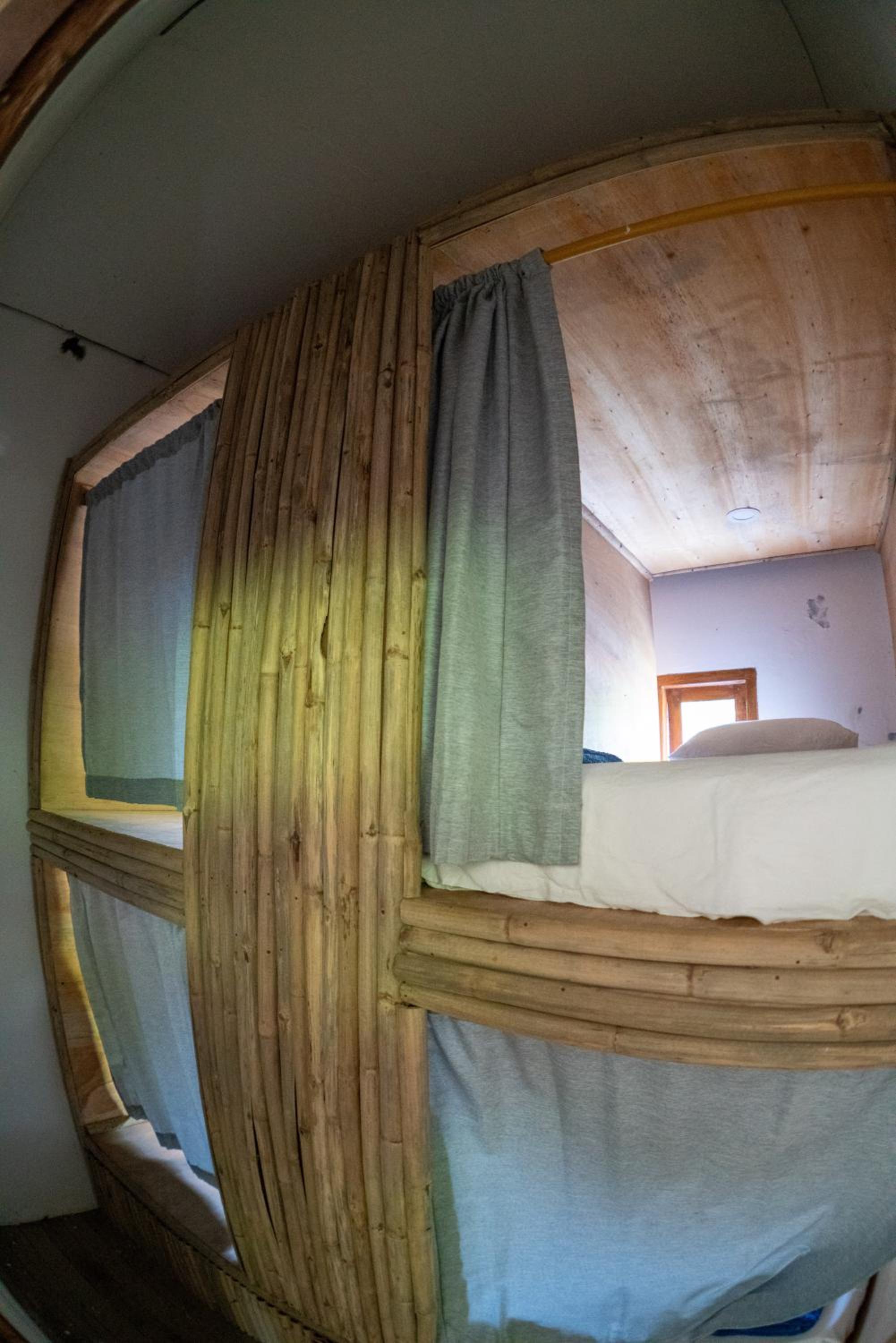 Roctopus Dive Center and Hostel