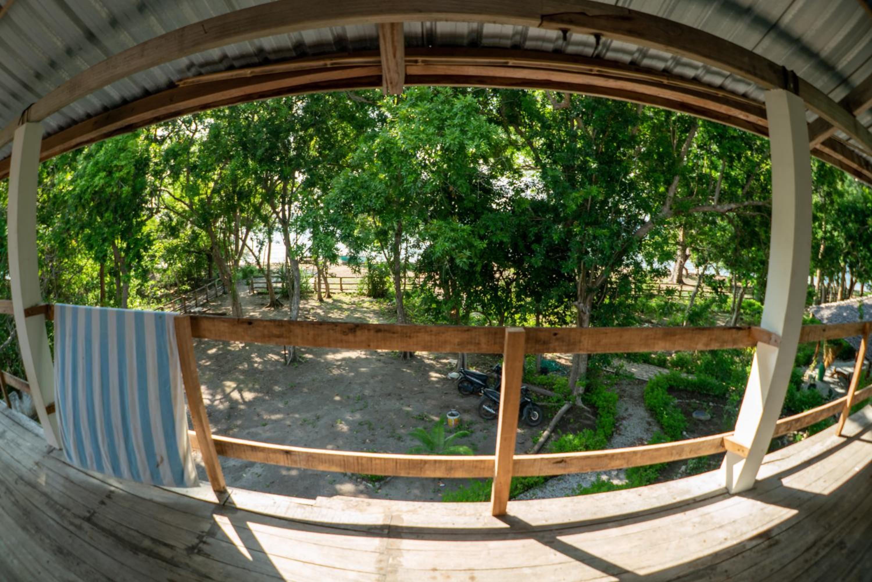 Roctopus Dive Center and Hostel