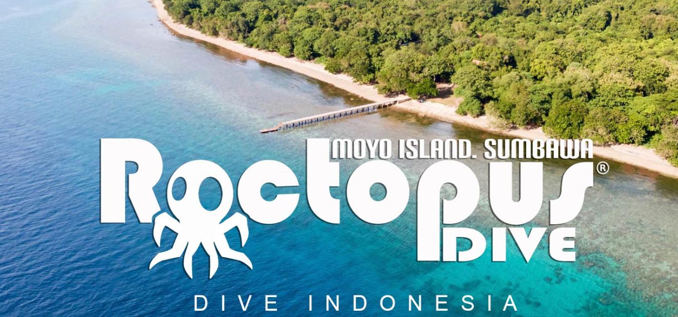 Roctopus Dive Center and Hostel