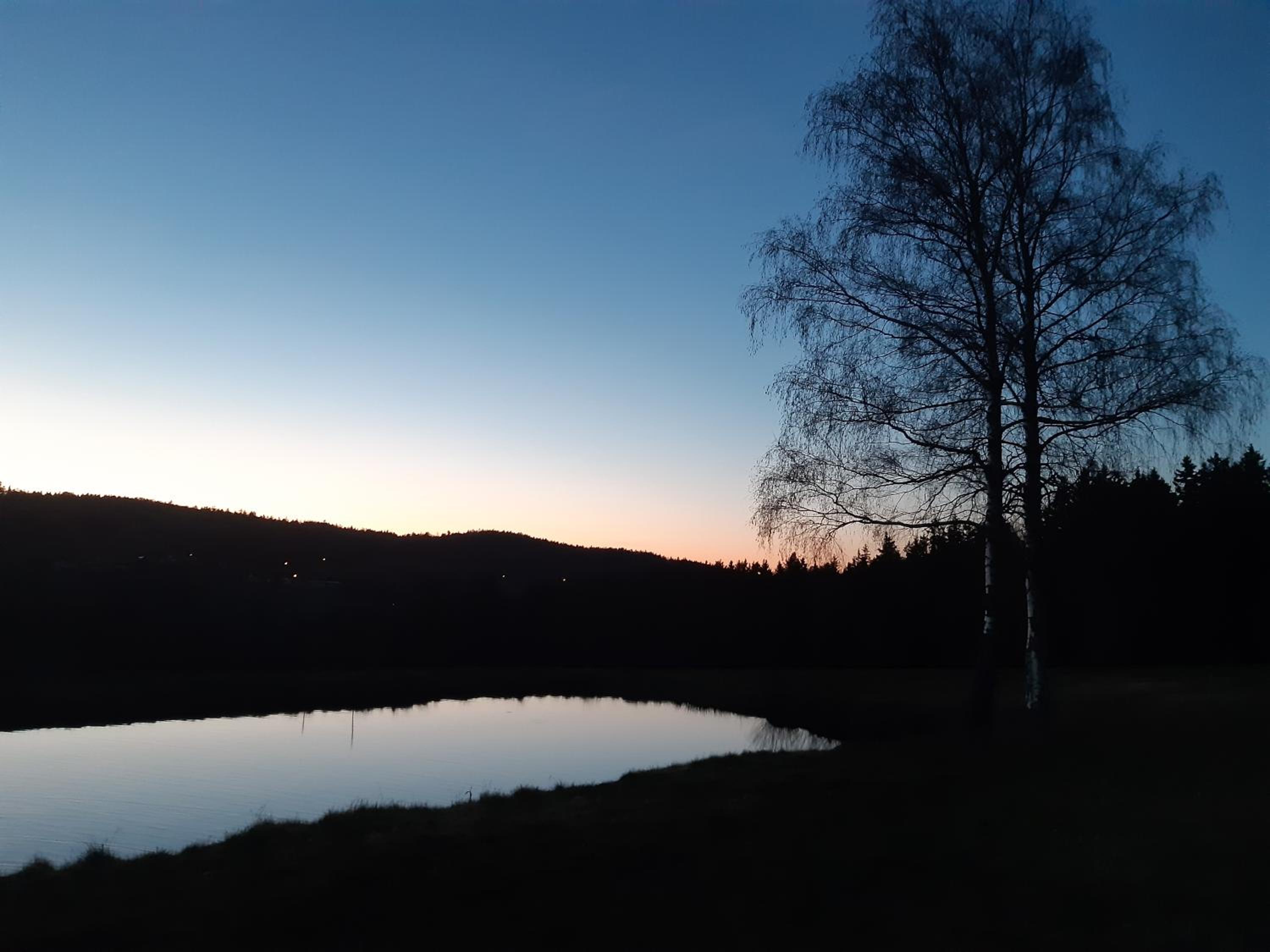 Zum Bergbauern