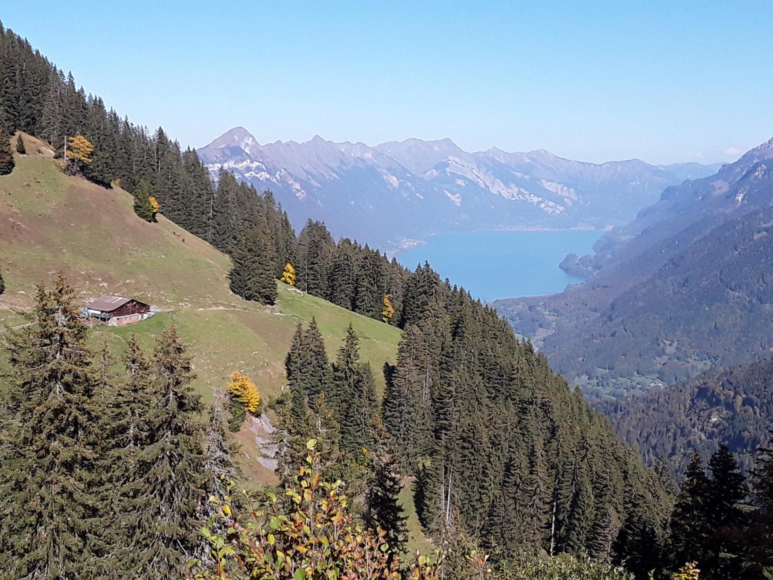 DesAlpes