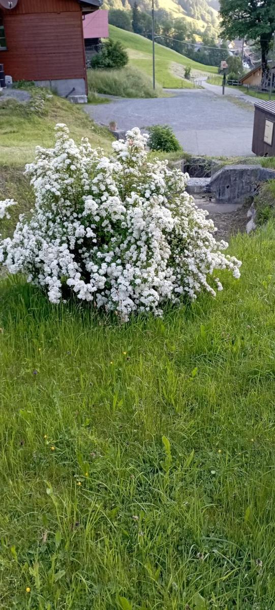 DesAlpes