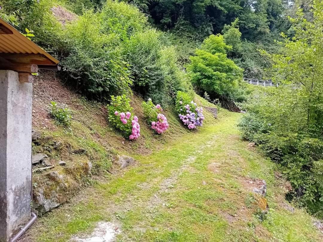 Gli Orti di Mulina le Apuane con parcheggio privato e WiFi view 2
