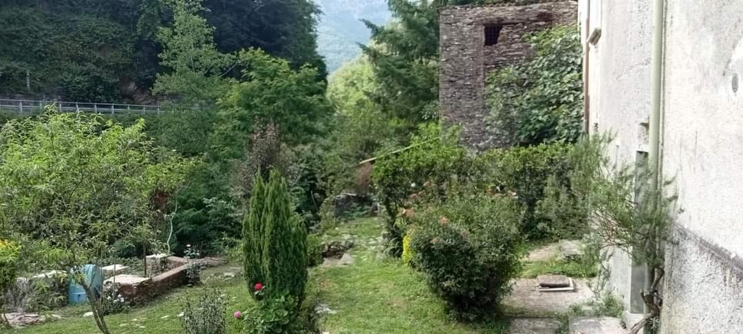Photo 43