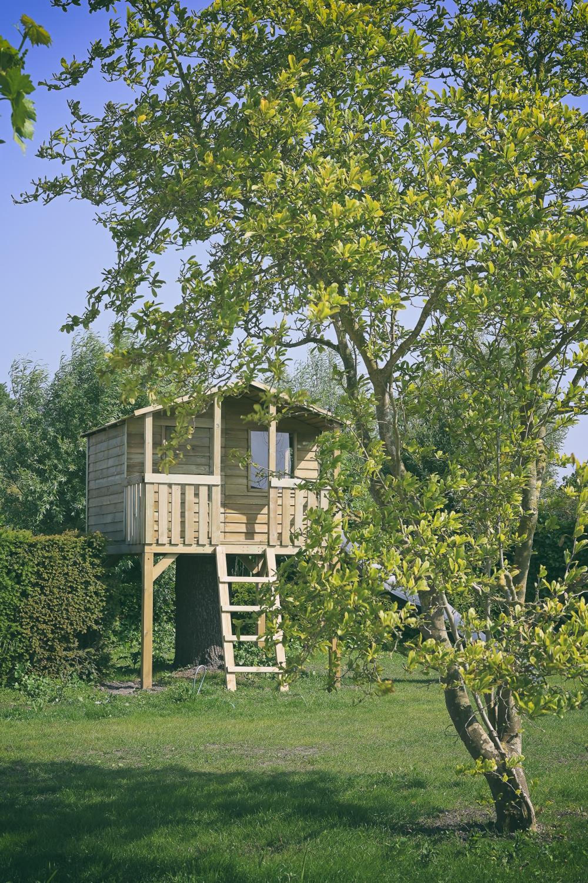 The Treehouse Gistel