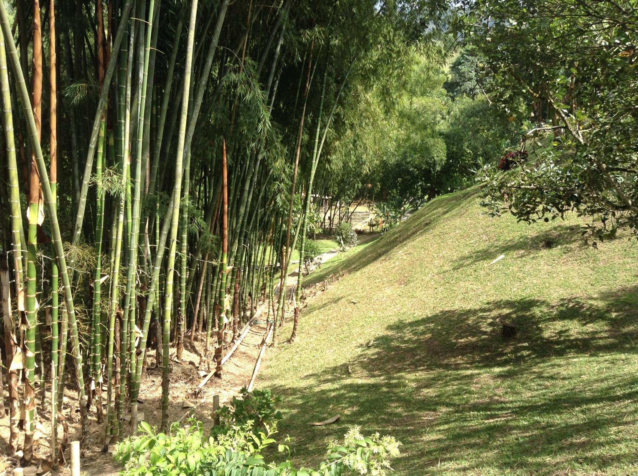 Finca El Sueño De Mi Abuelo