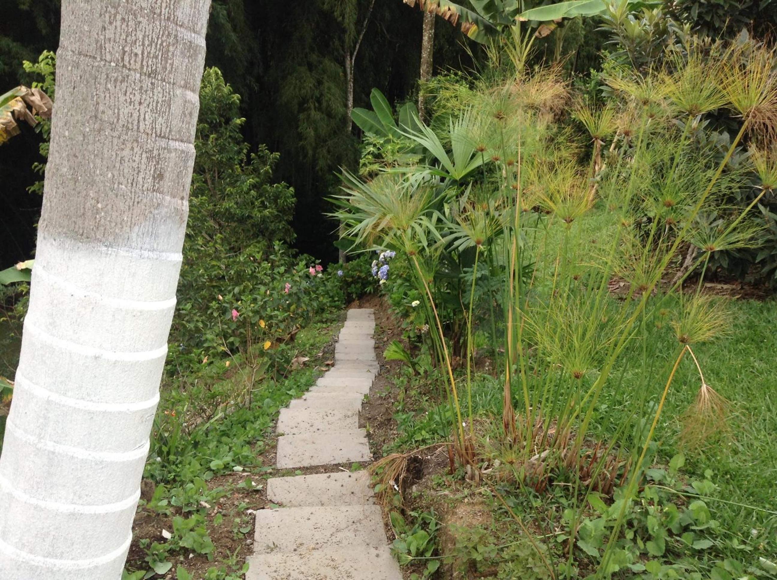 Finca El Sueño De Mi Abuelo
