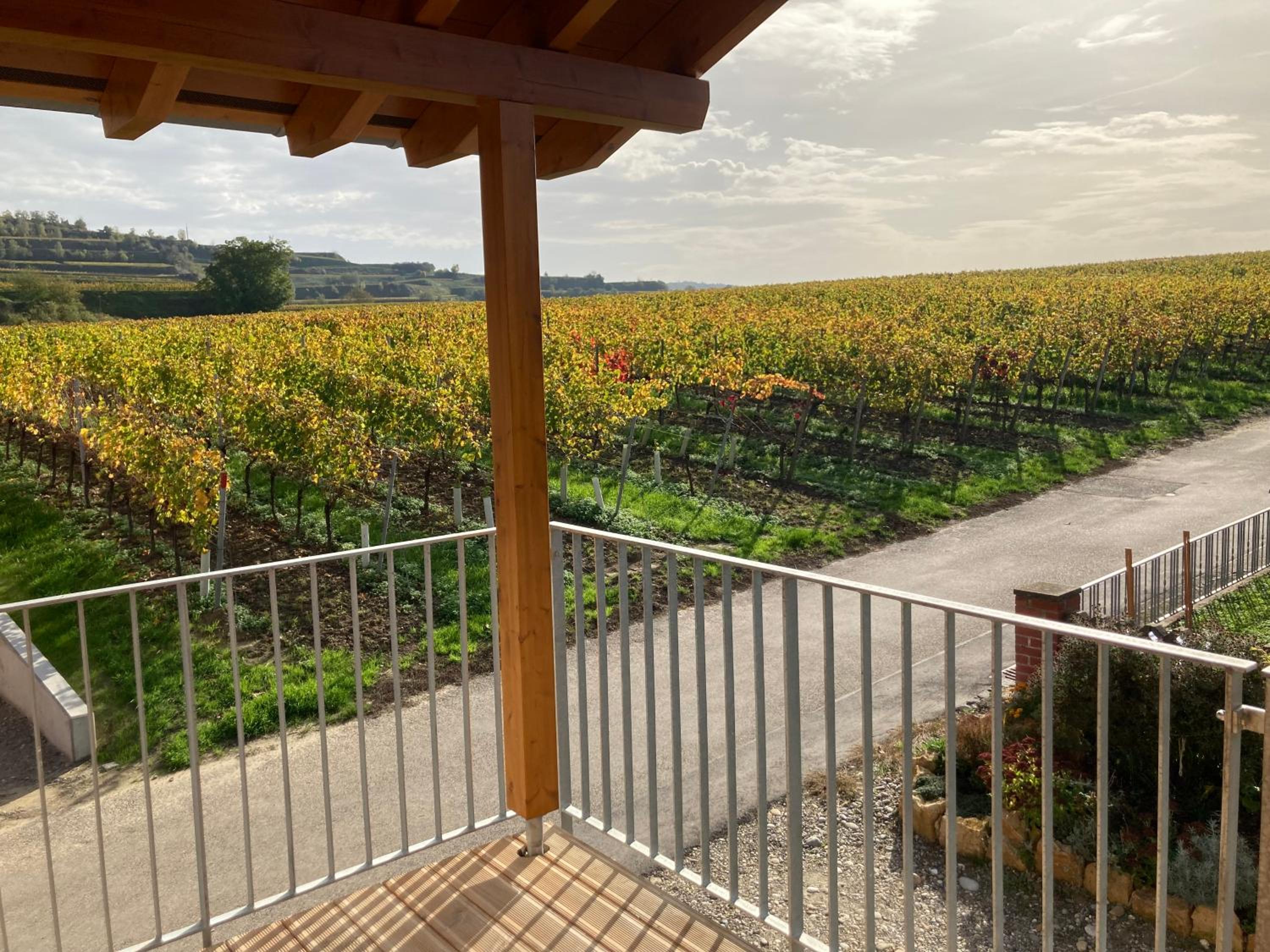 Chalet Charmant-Santelmann