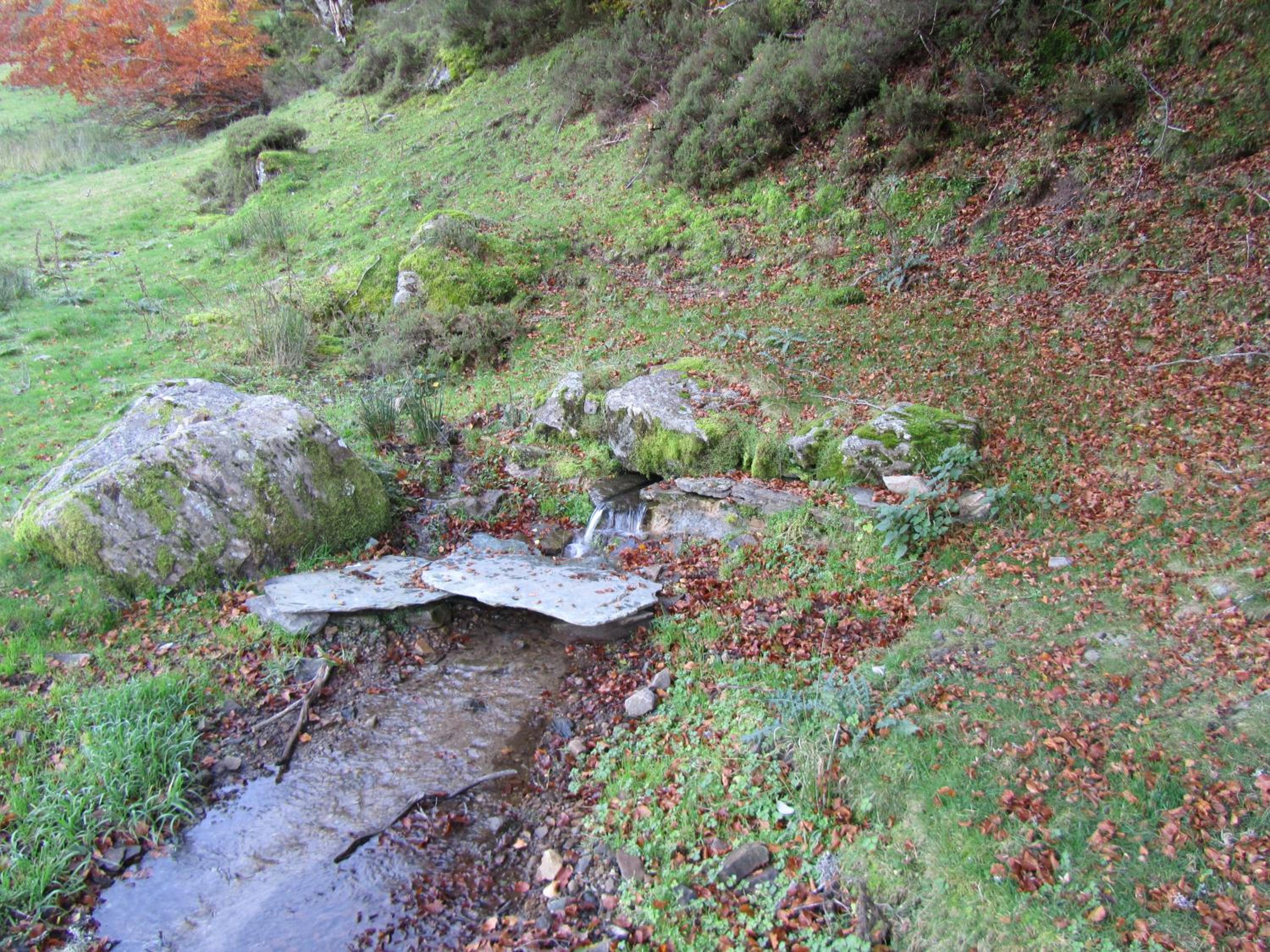 Photo 25