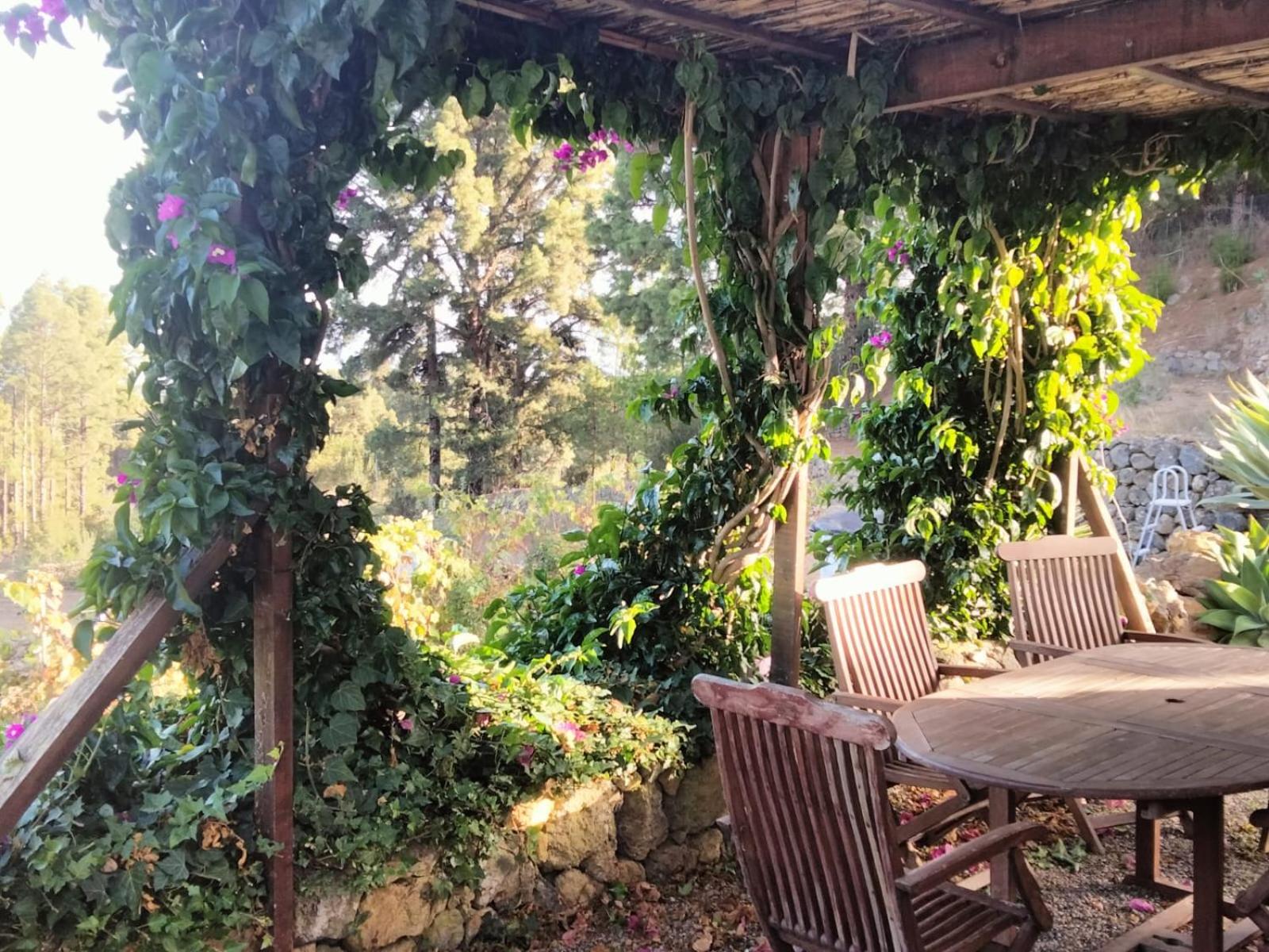 Casa Regina