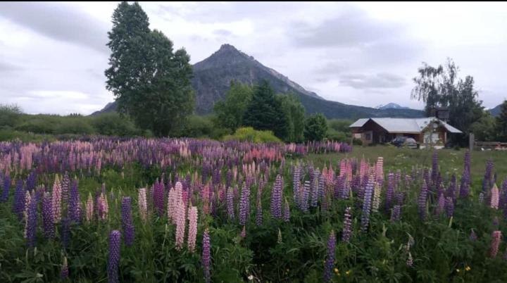 Mijildhauss