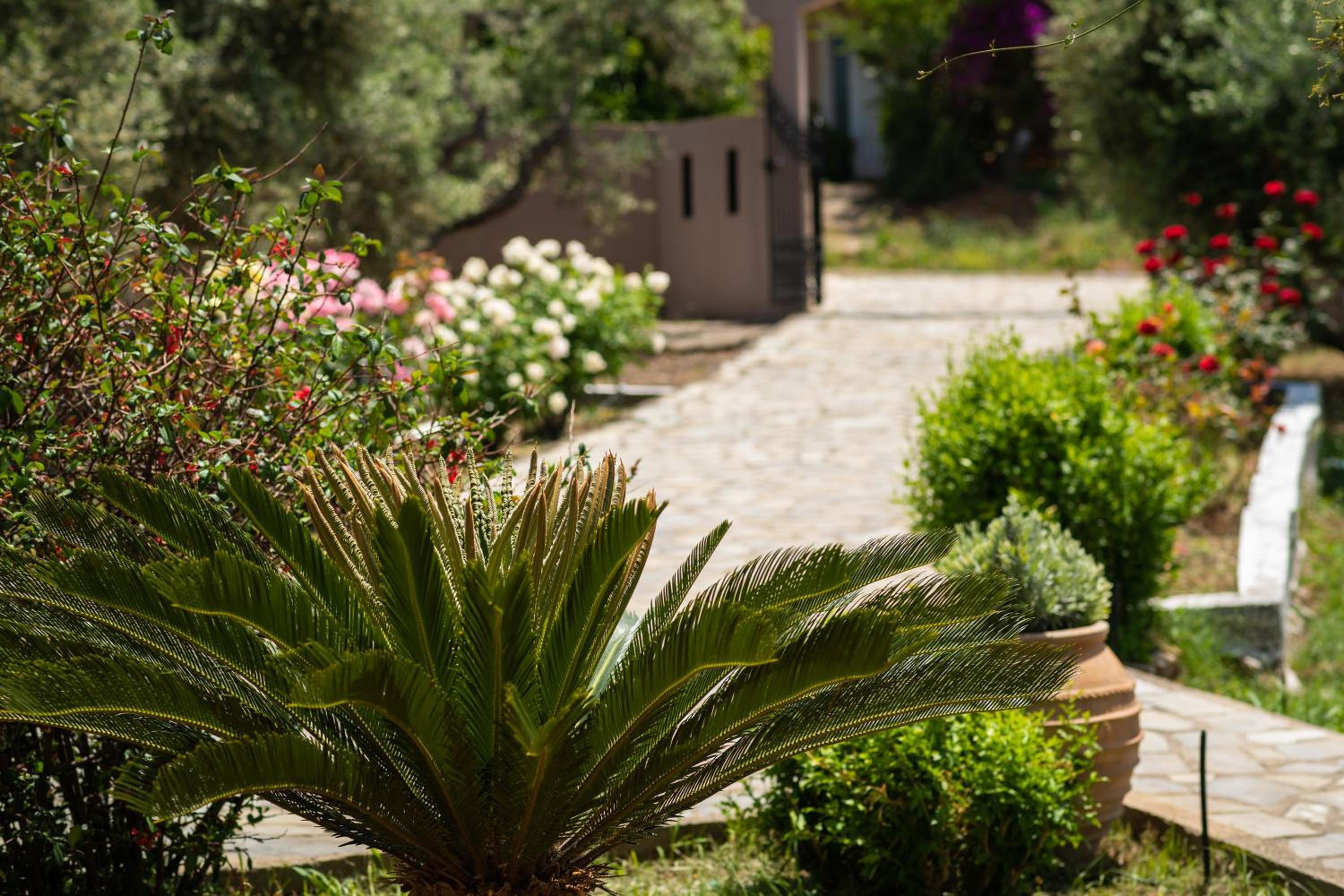 Garden House with Pool, 10min to center
