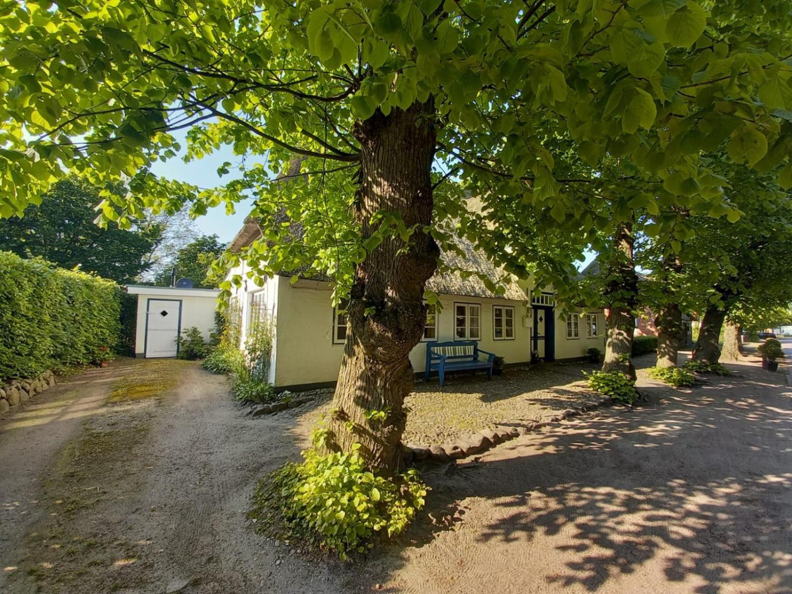 Haus Lotte