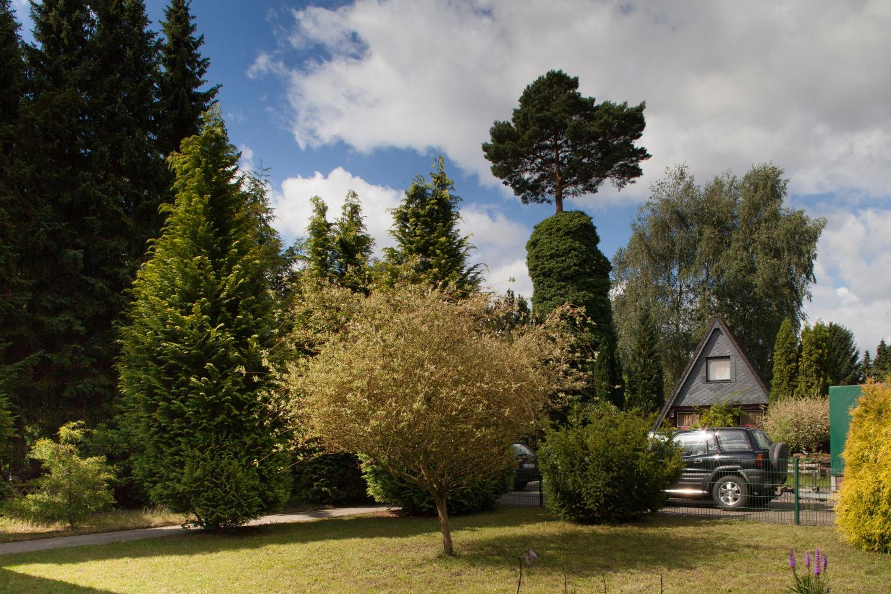 Ferienhaus Heideland Winsen Aller
