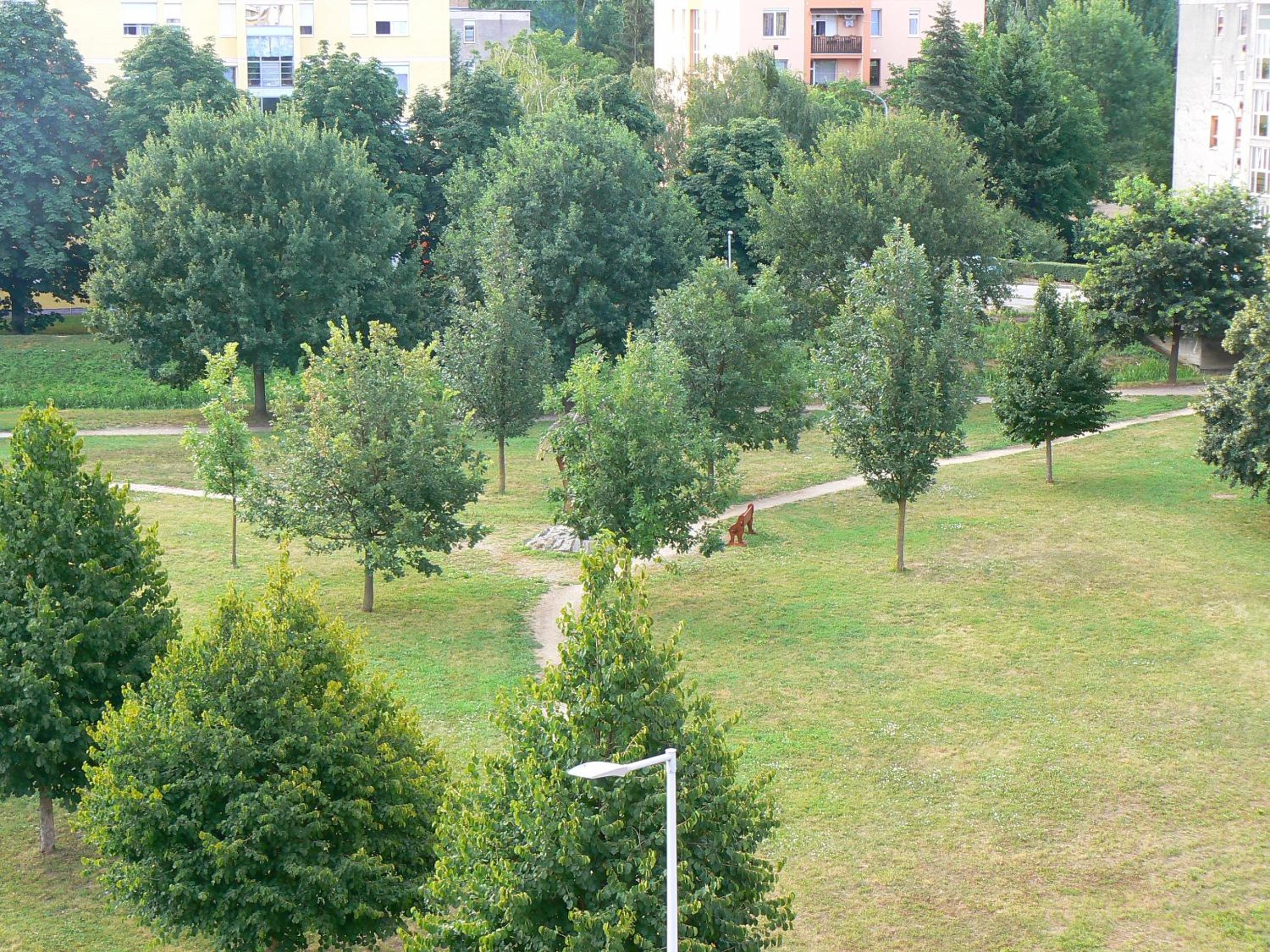 Photo 23