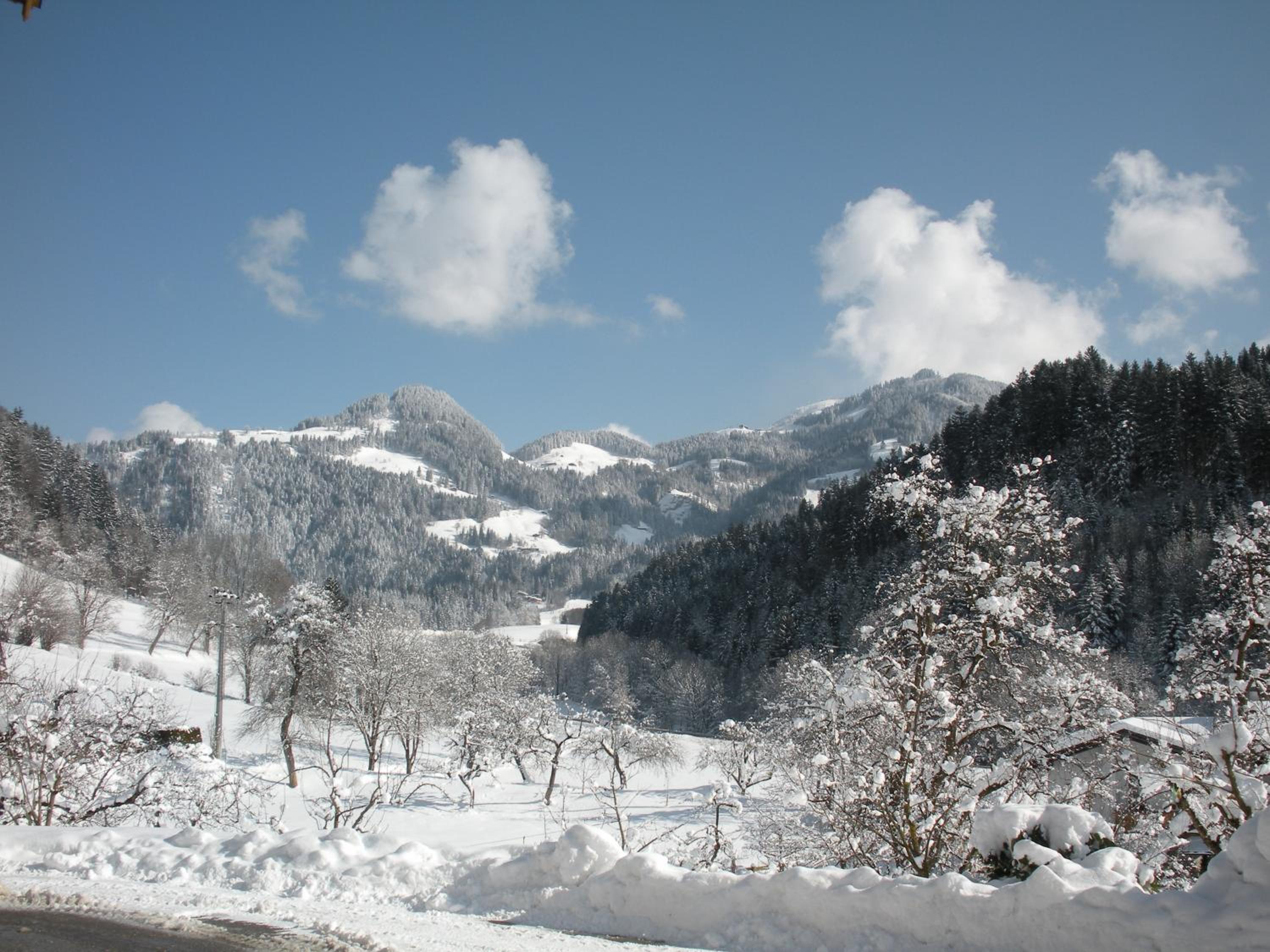 Stegerbauer