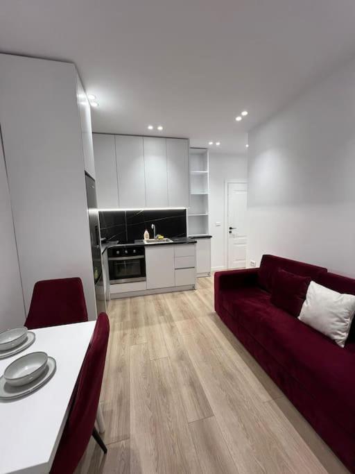 Spacious Apartment Ish-Blloku Area