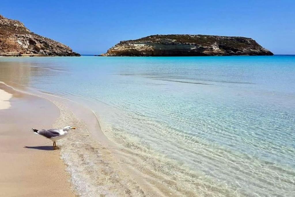 O'SCIA' appartamento a LAMPEDUSA