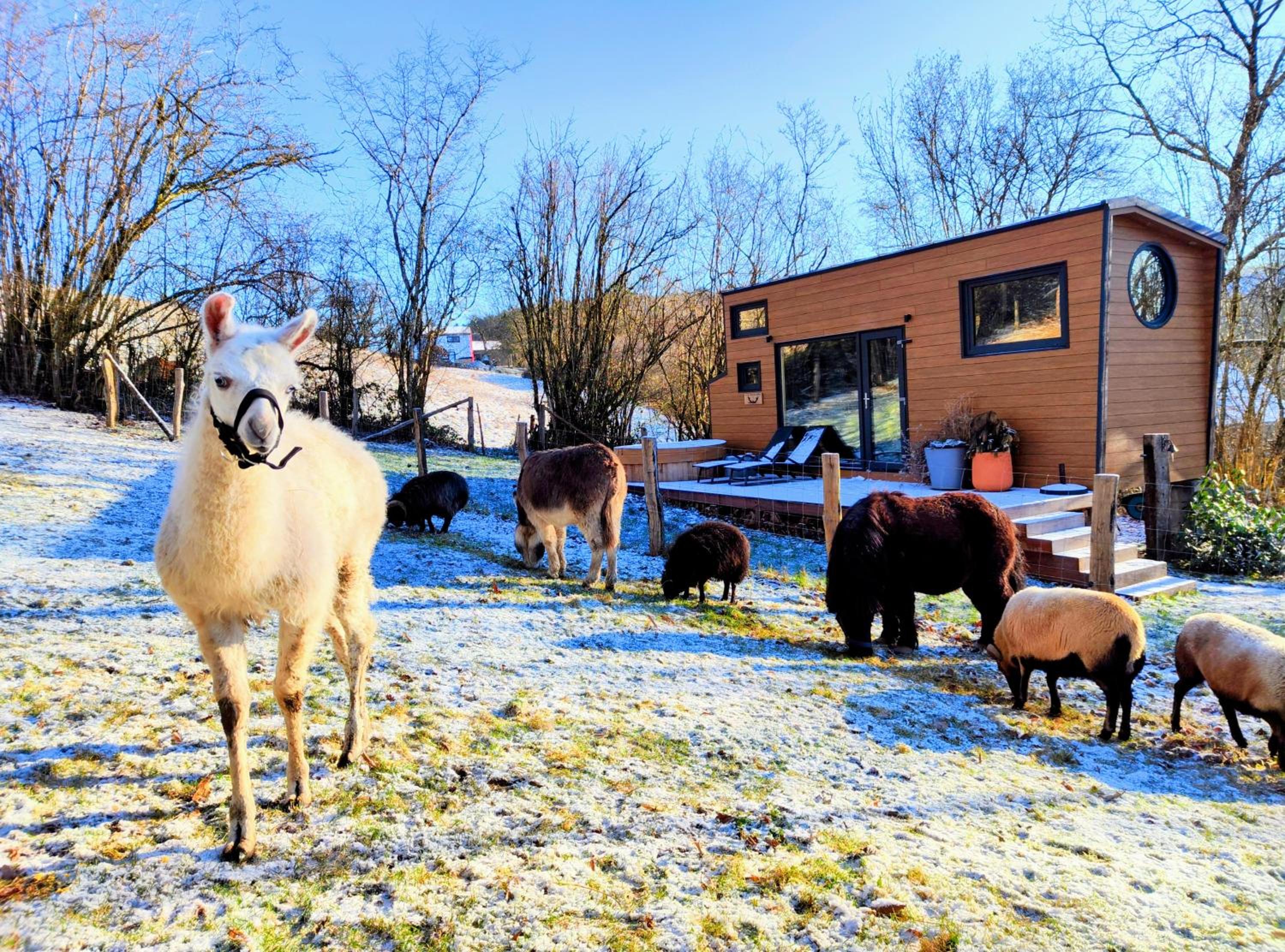 La mini maison du Lama
