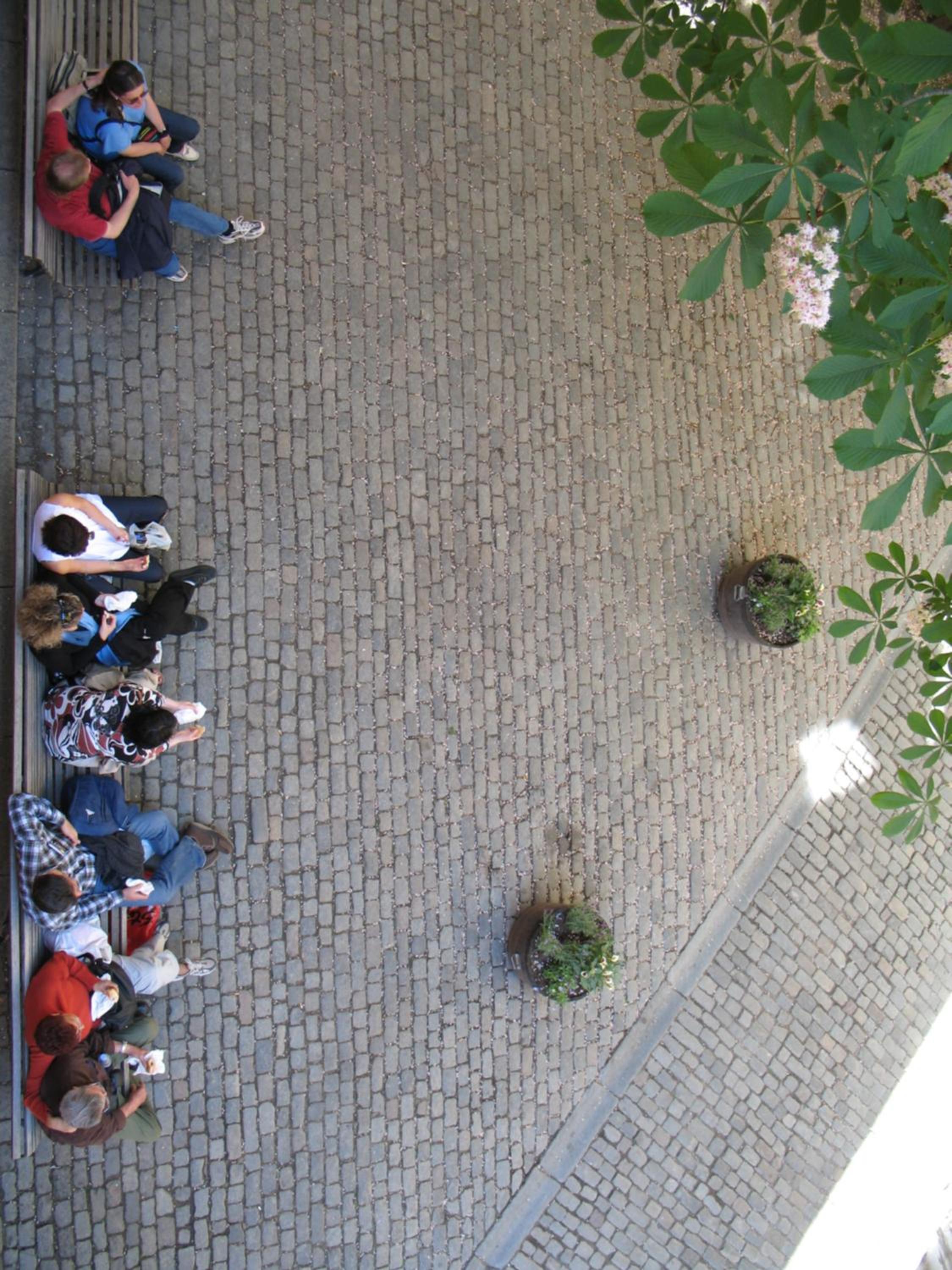 Photo 48