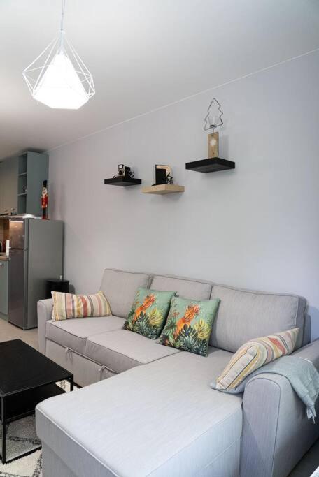 Margarita flat