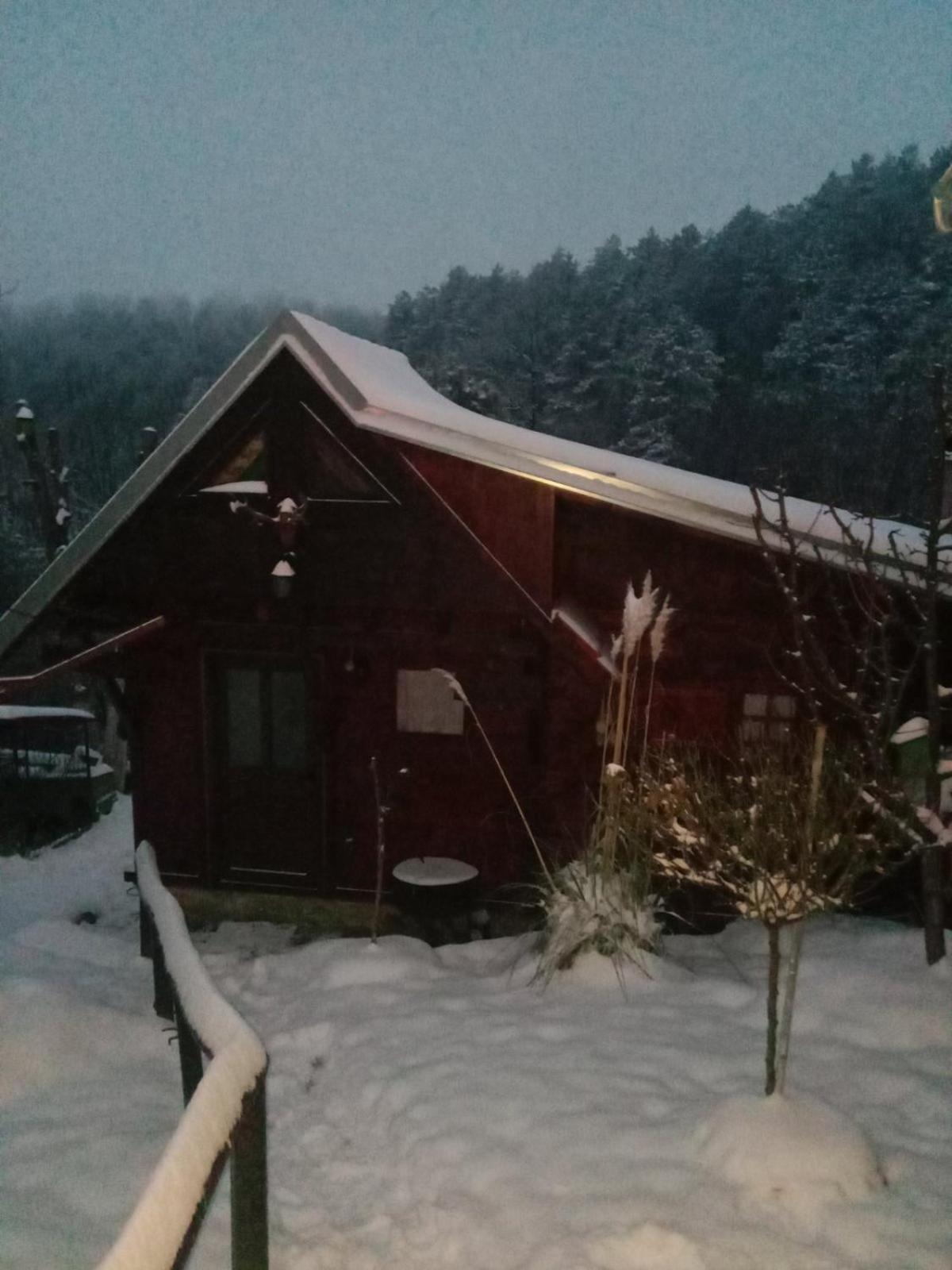 Mala Kelja Lux
