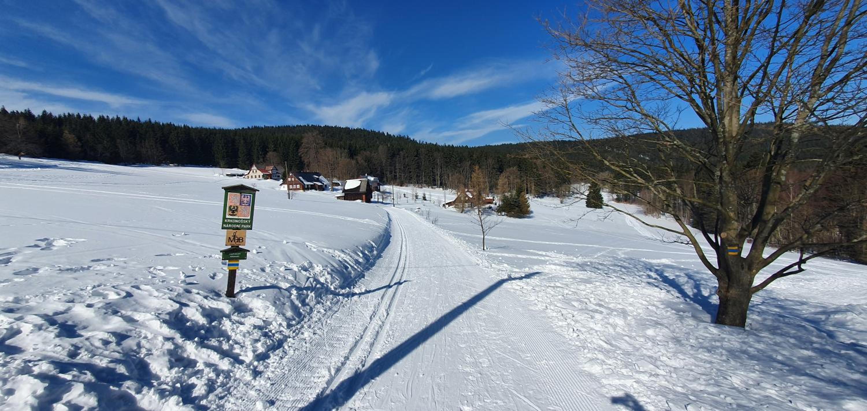 Apartmán Vysoké nad Jizerou view 4