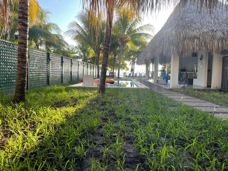 Ocean fronthouse in Salinitas