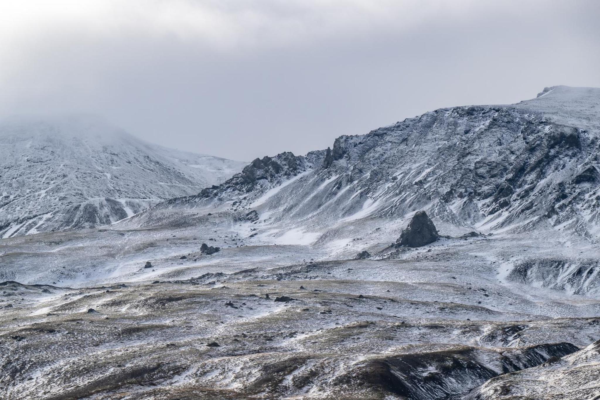 Kornmúli