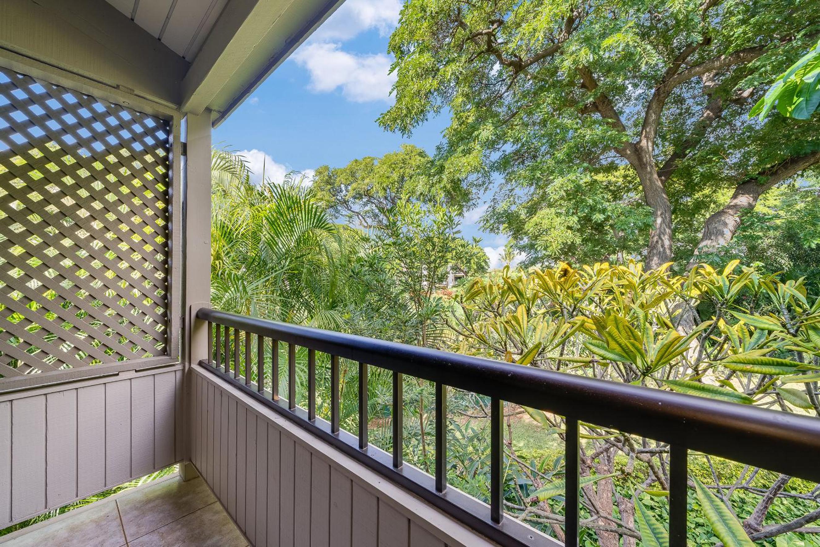 Wailea Ekolu 102 - Molokini Views, Split AC