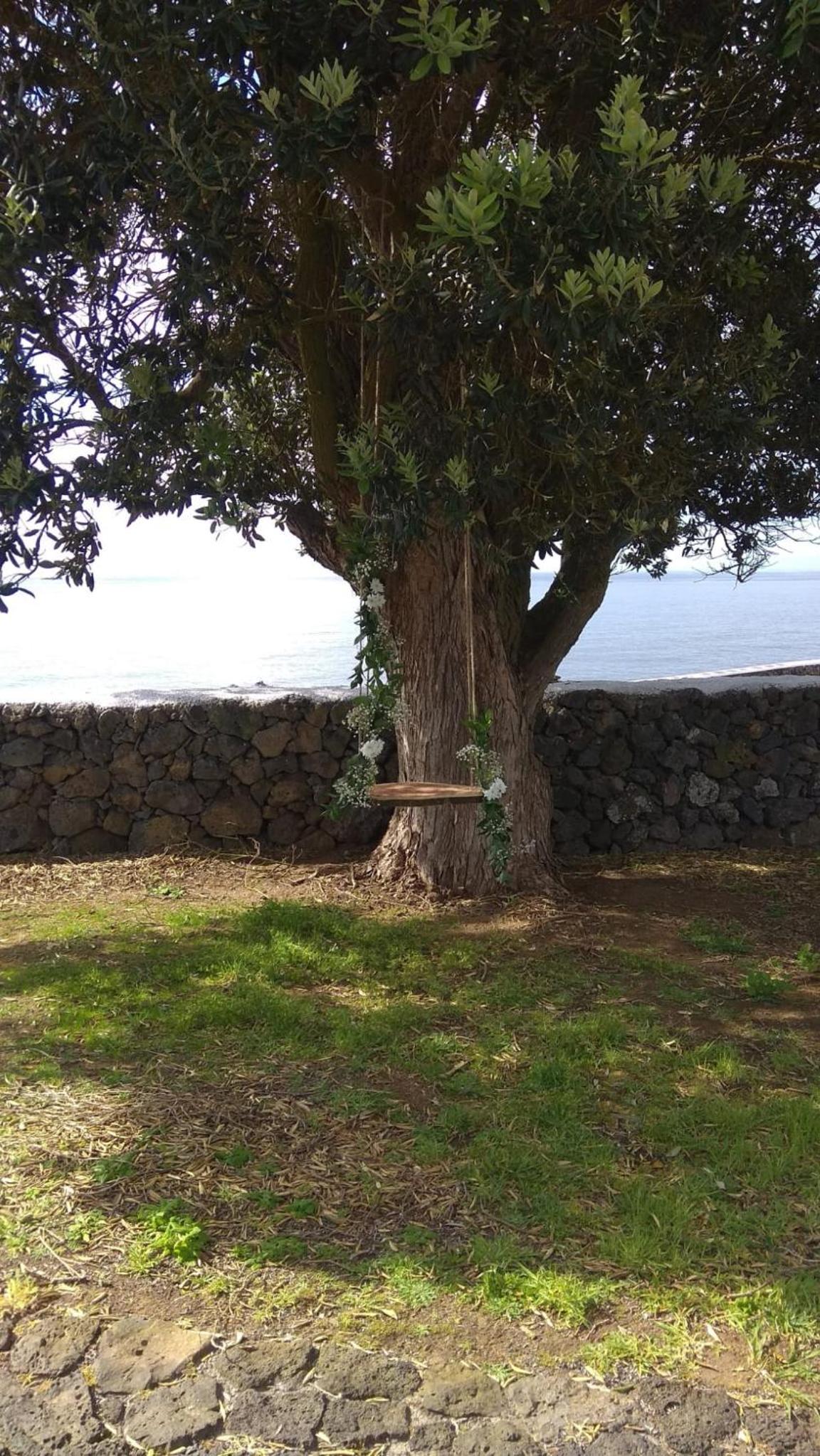 ALLuar Lodge