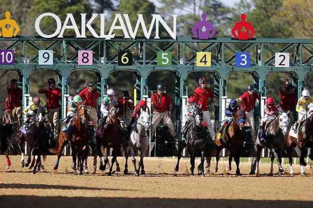 'Queen of the Turf' Walk to Oaklawn Racing and Gaming view 5