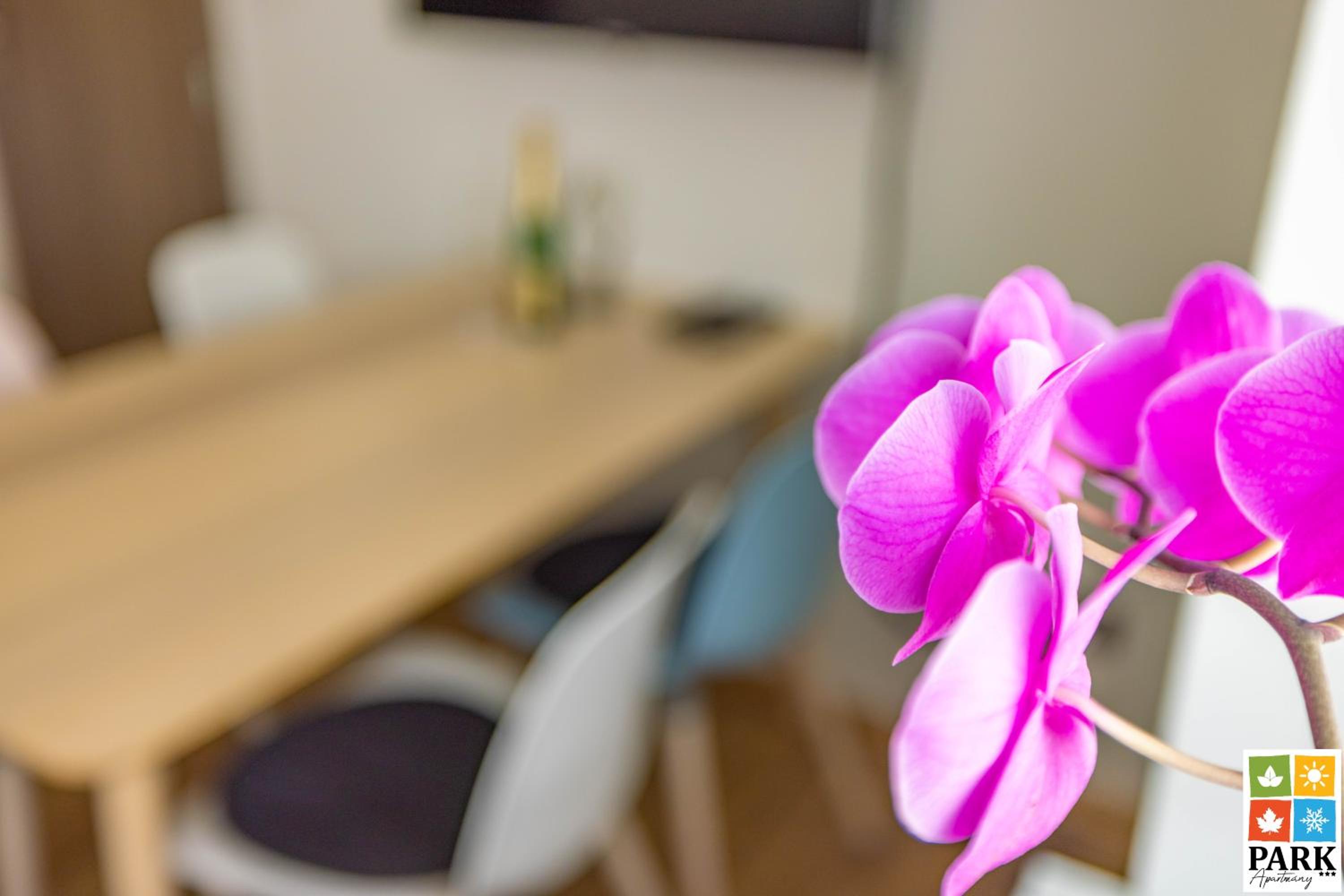 Apartmány PARK