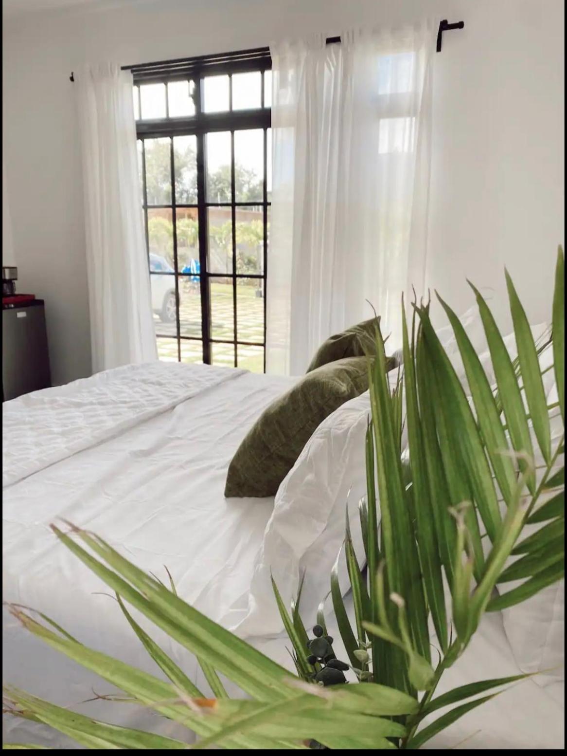 Stylish room by the beach view 3