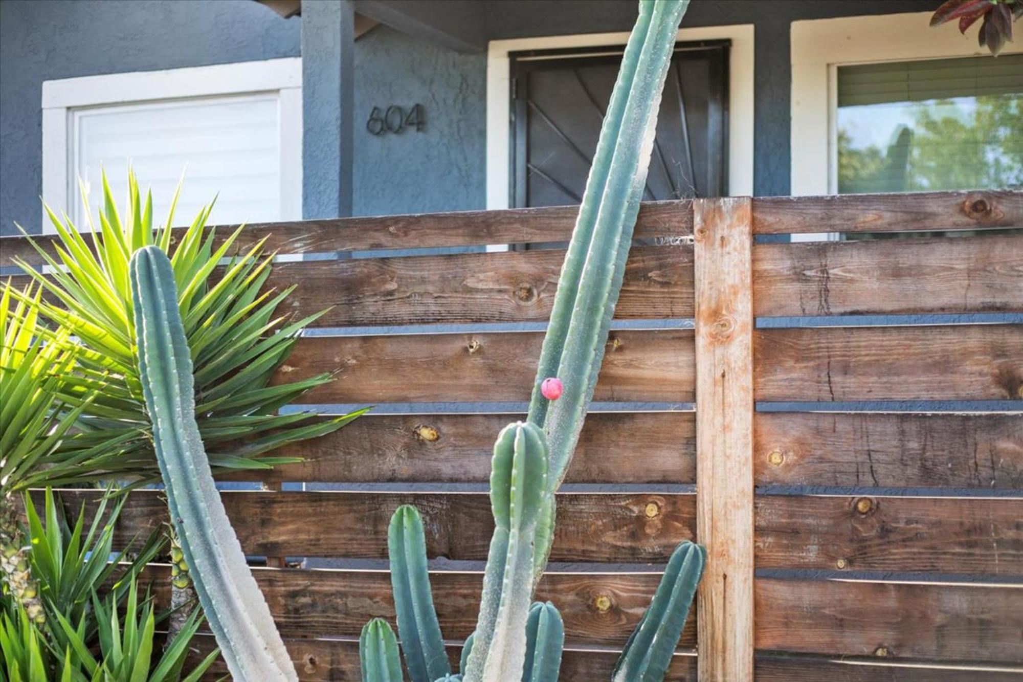 NEW Beautiful BOHO Home by Beach, Downtown + Shops view 3