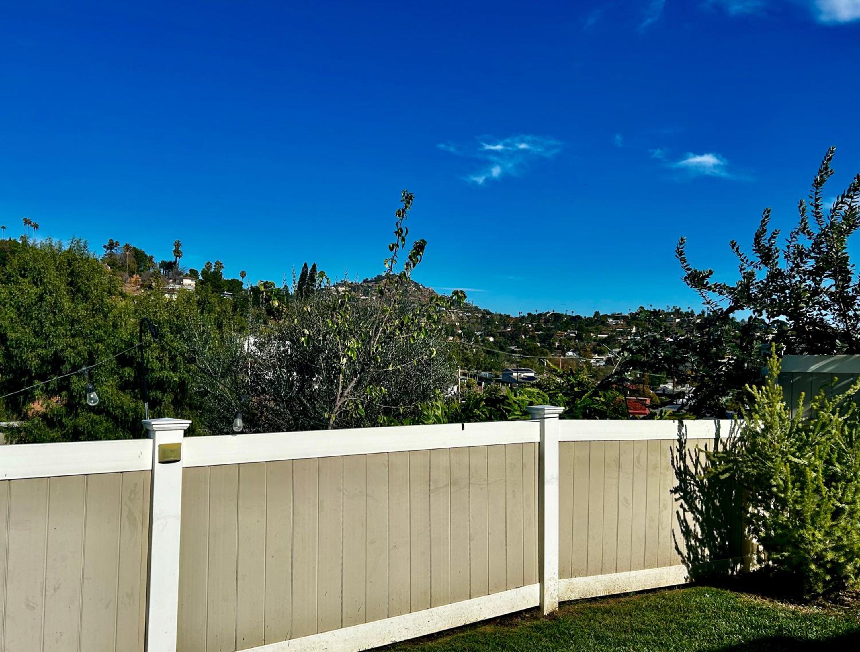 NEW Beautiful San Diego Mid-Century Treehouse view 5