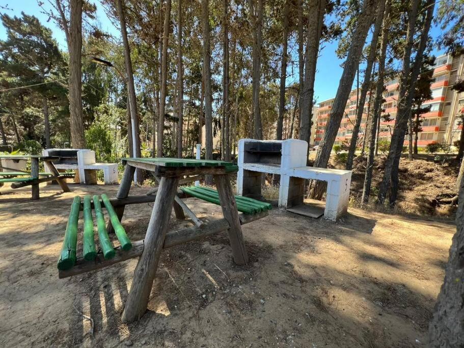 Paz natural, Playa, bosque, el descanso ideal