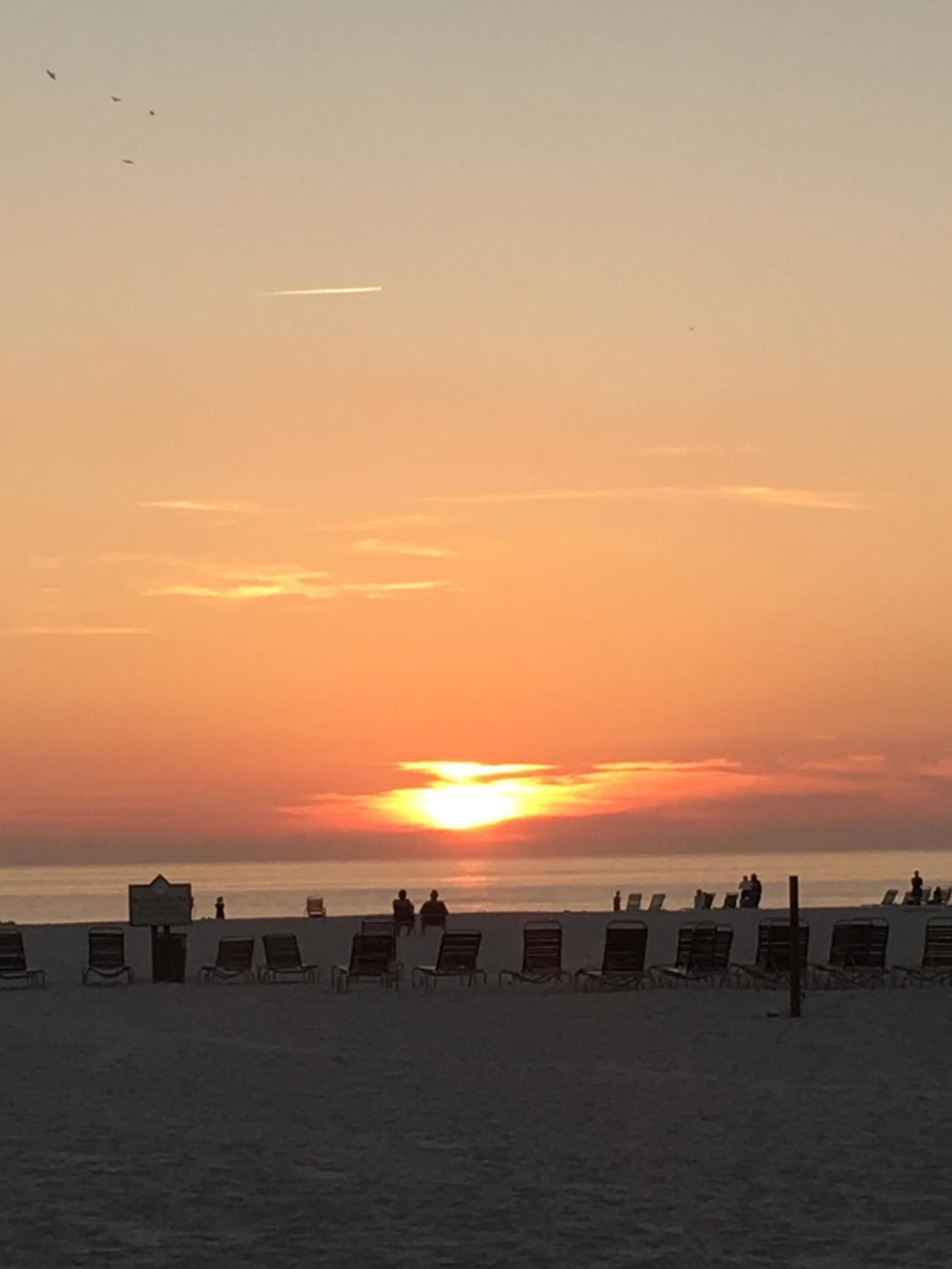 Beautiful Sandy Feet Retreat with Private Beach and Pools on Siesta Key Beach