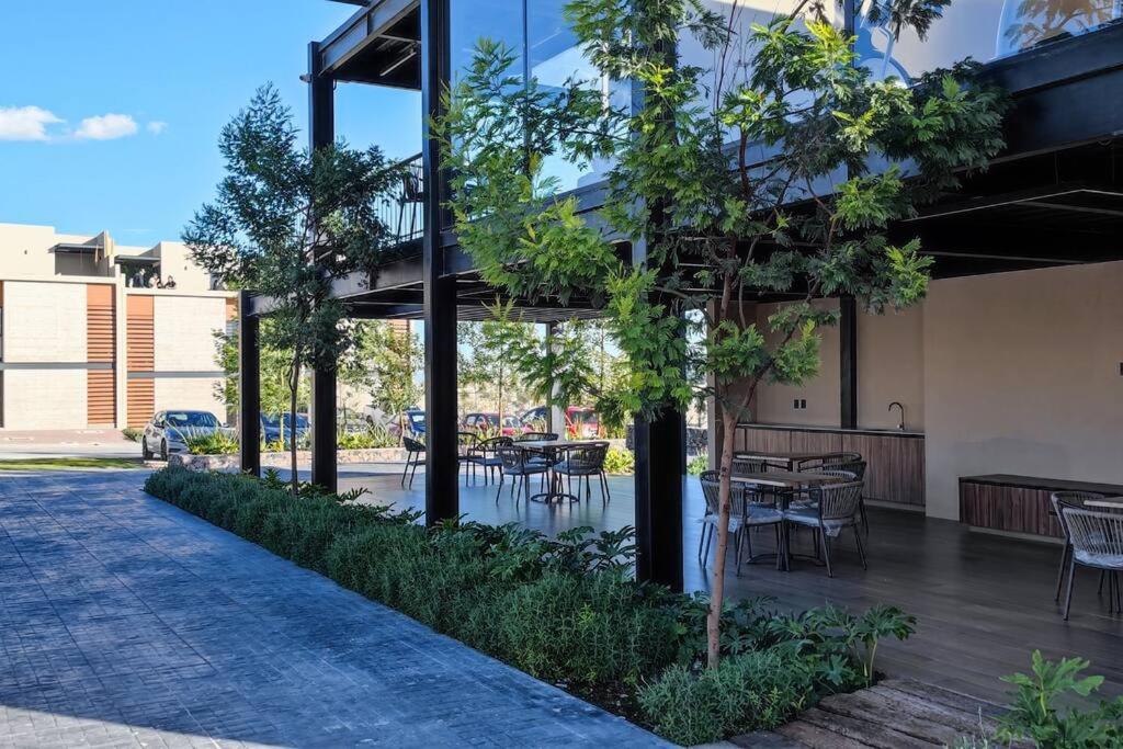 Casa Biznaga by Cosmos Homes view 3