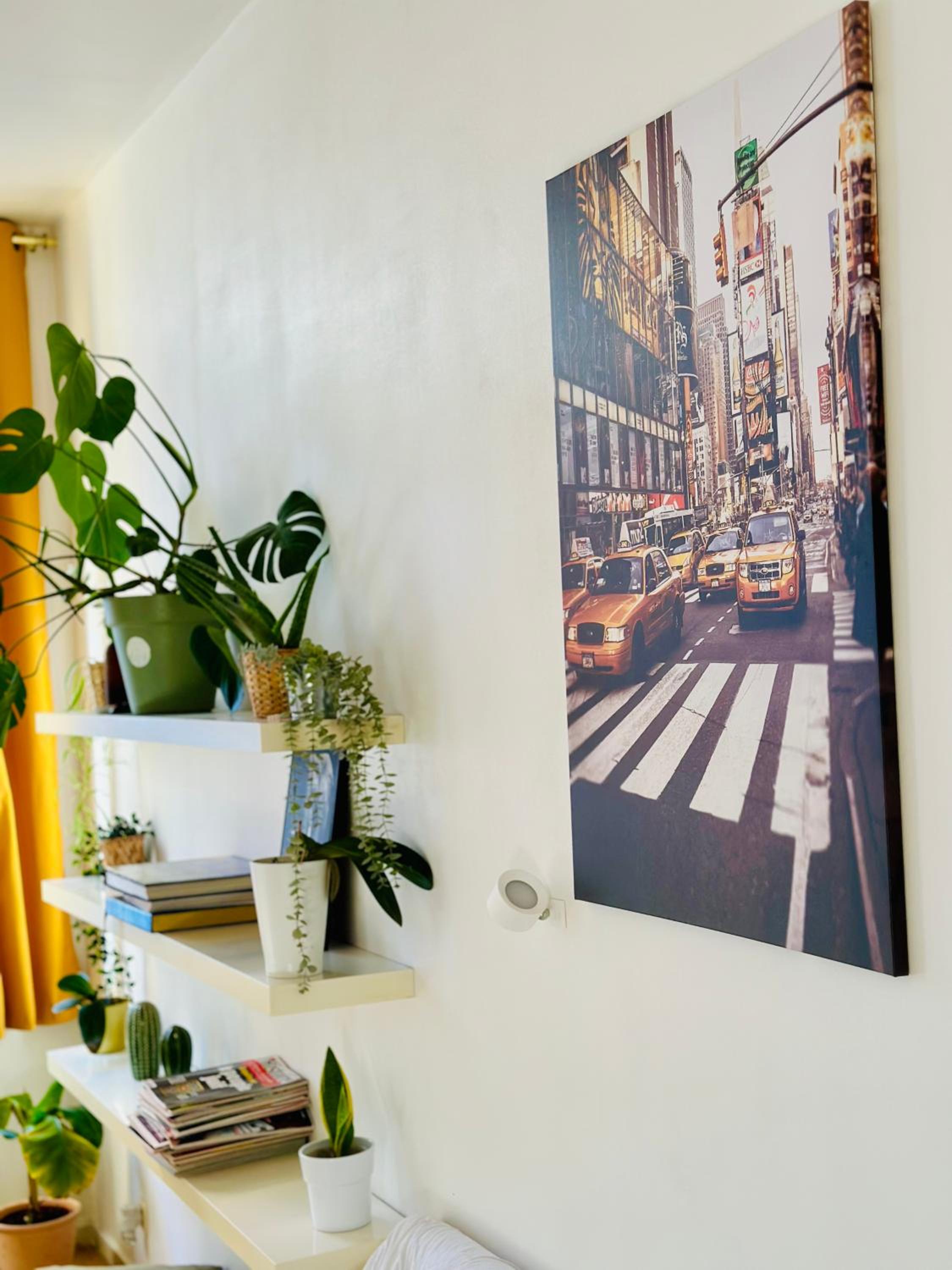 Down-Town 1 Bedroom Flat