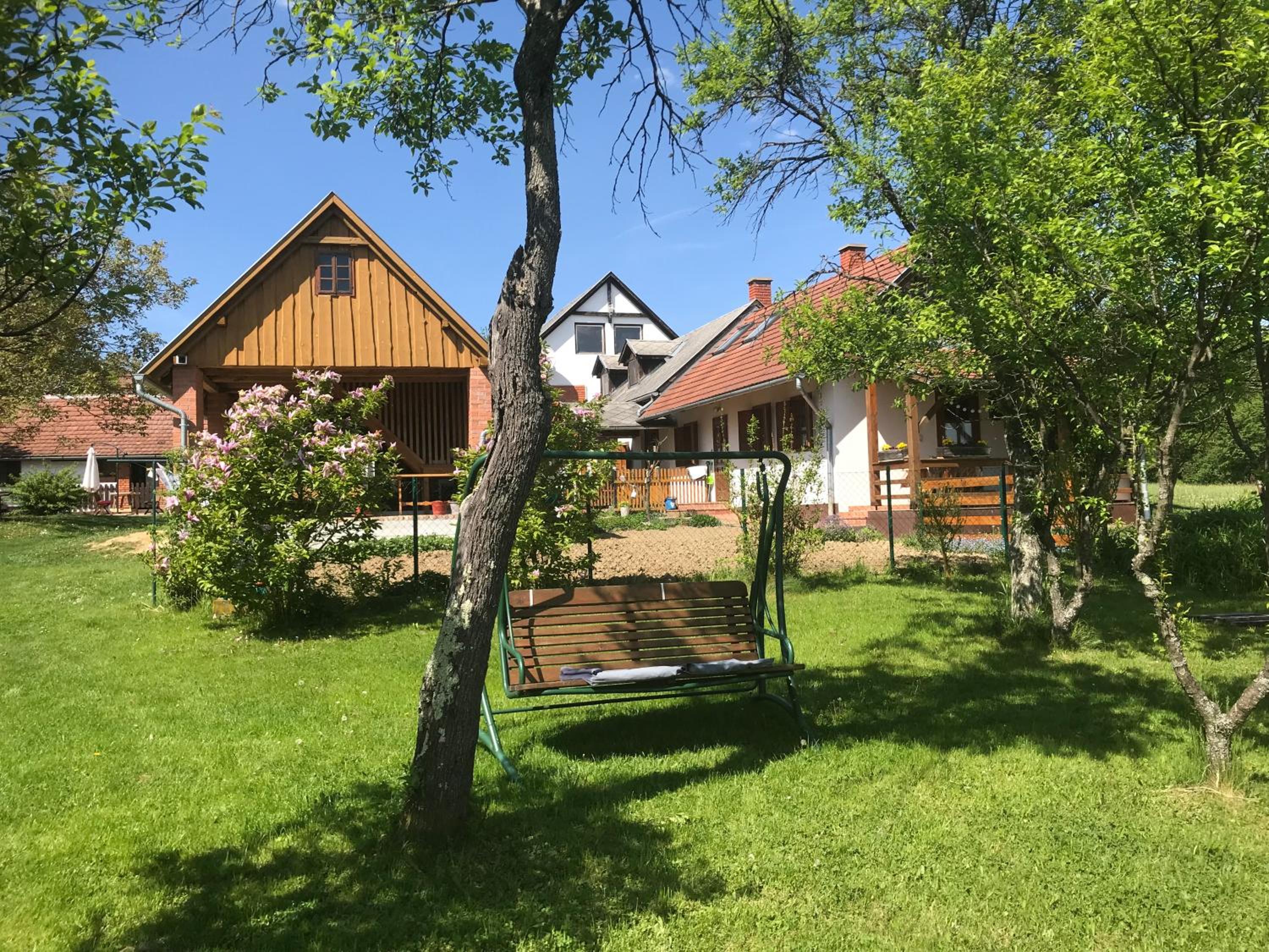 Photo 11