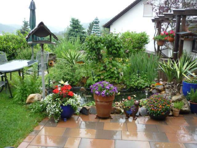 Photo 56