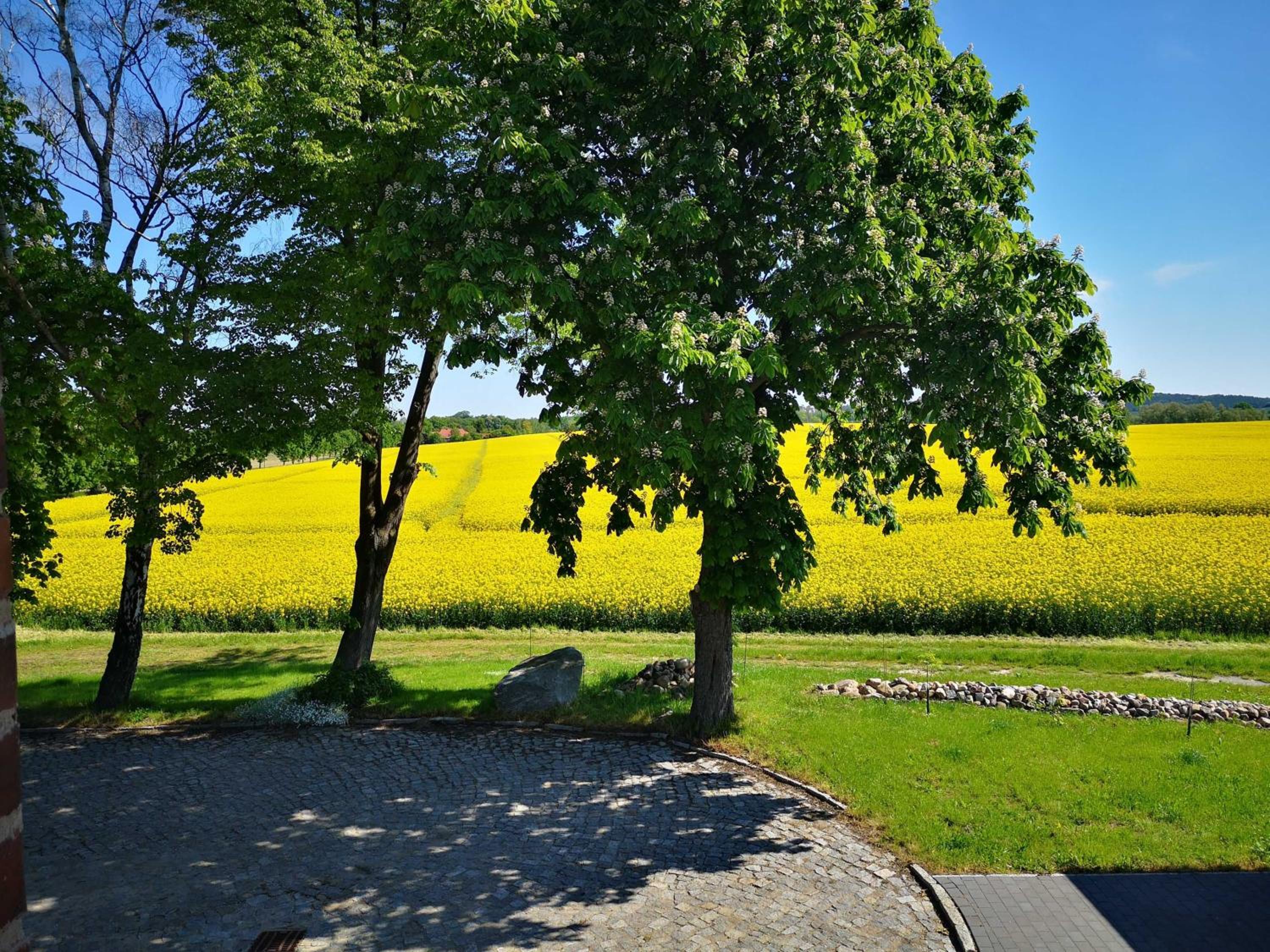 Bahnhof Hohen Mistorf - Ferienwohnungen
