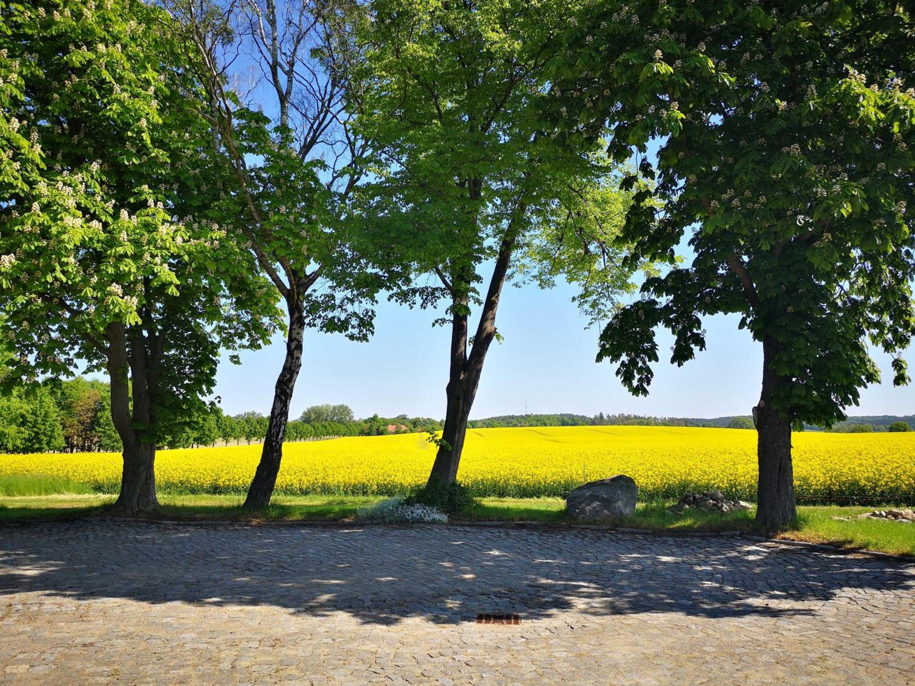Bahnhof Hohen Mistorf - Ferienwohnungen