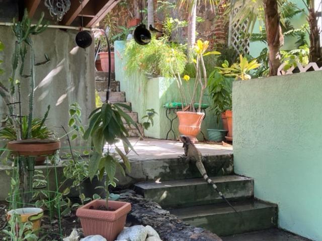 Photo 66